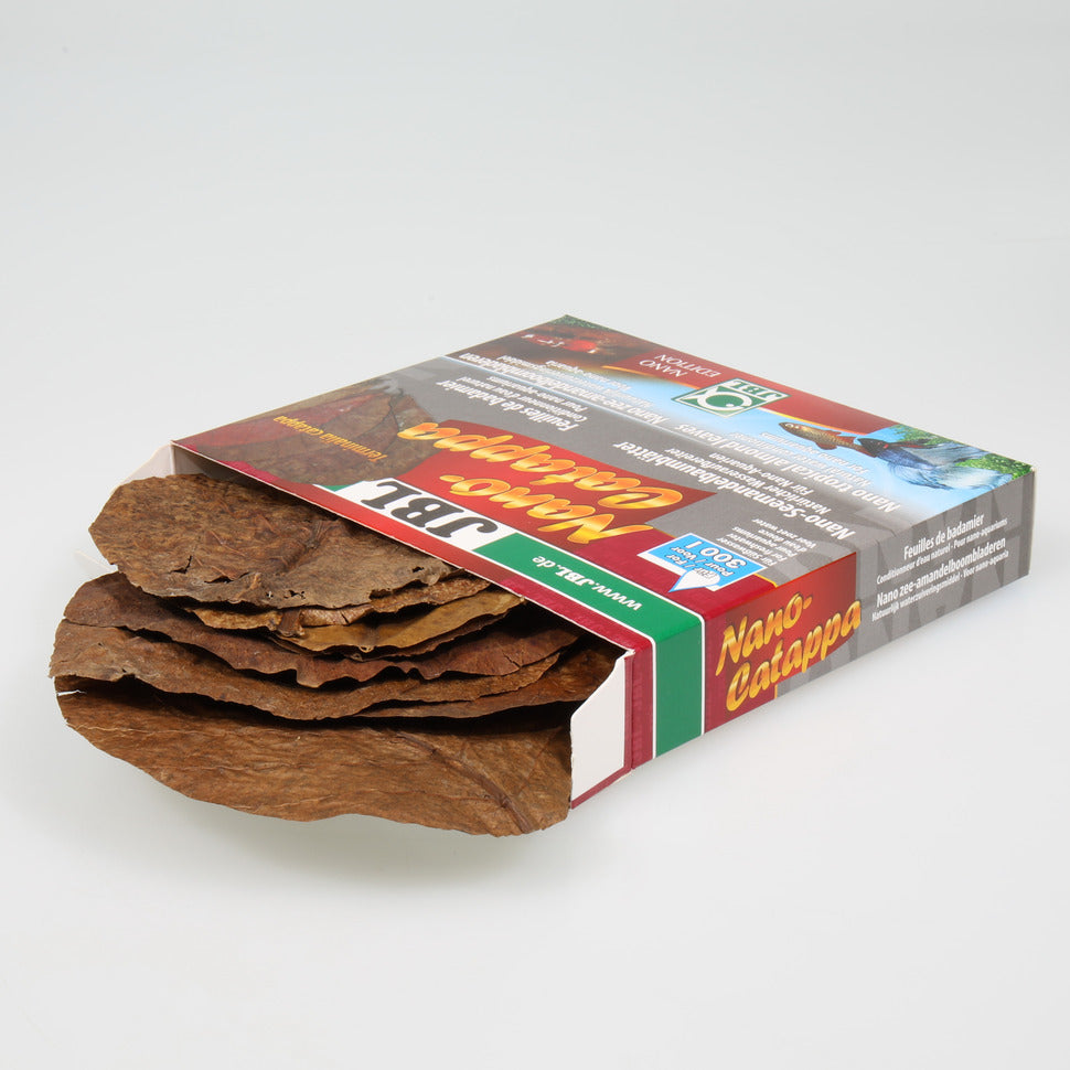 JBL Nano-Catappa intianmantelipuun lehdet 7cm