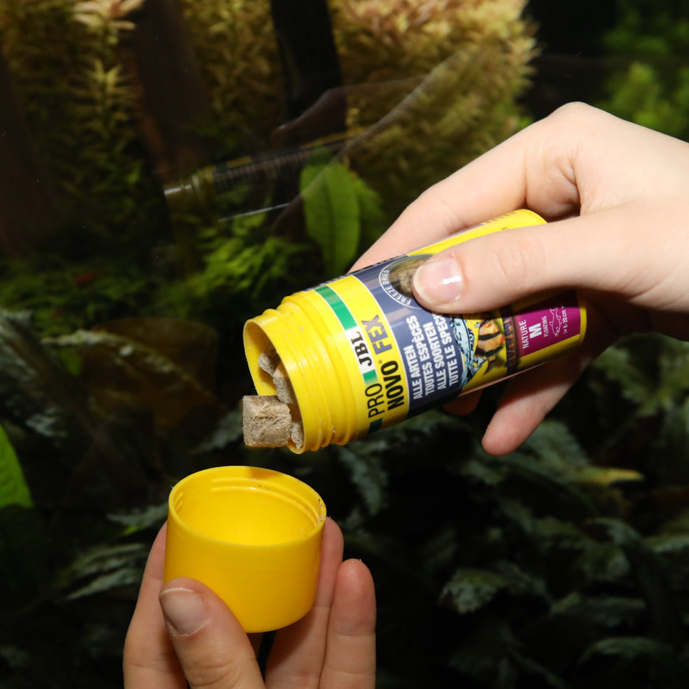 JBL PRONOVO Fex 250ml tubifex-kuutio