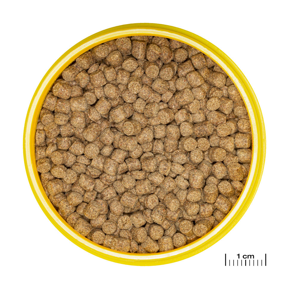 JBL ProNovo Lotl Grano M 250ml pääruoka nuorille aksolotleille