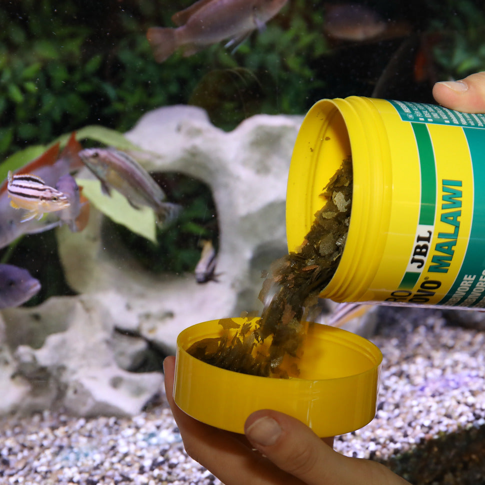JBL ProNovo MALAWI FLAKES M 1 litra