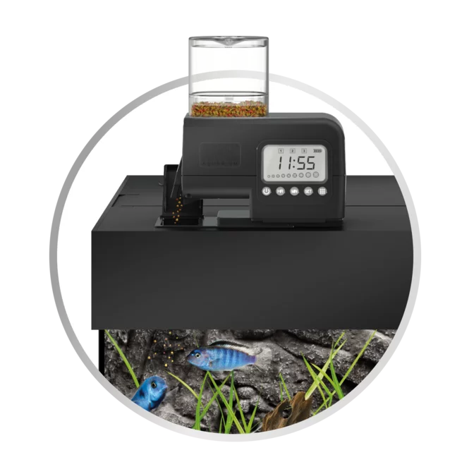 Juwel SmartFeed 2.0 ruokinta-automaatti