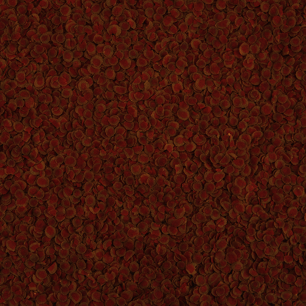 TetraPro Colour 250 ml väri muroruoka