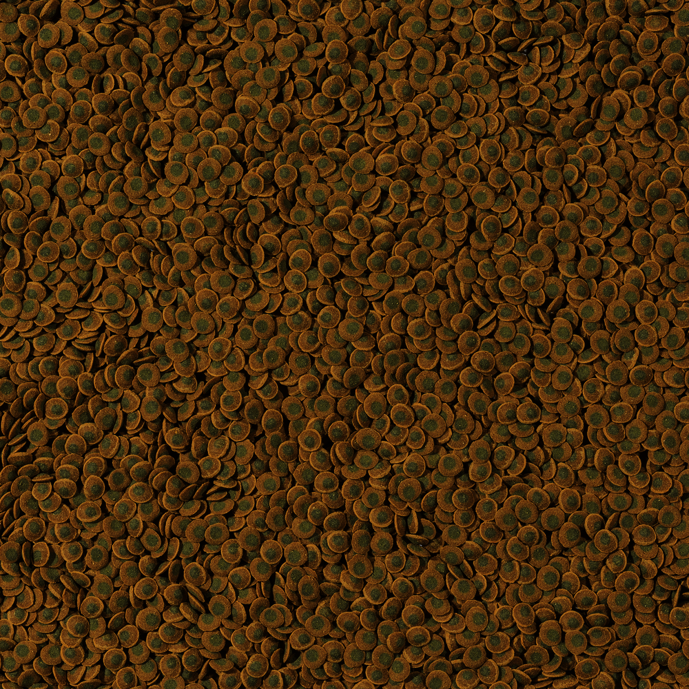 Tetra PlecoVeggieWafers 250 ml iso