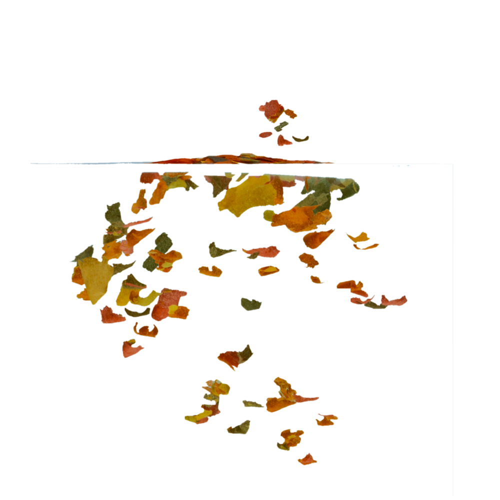 TetraRubin 250 ml hiutale väriruoka