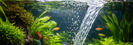 💧 Vedenvaihto oikein – kuinka paljon, kuinka usein ja miksi