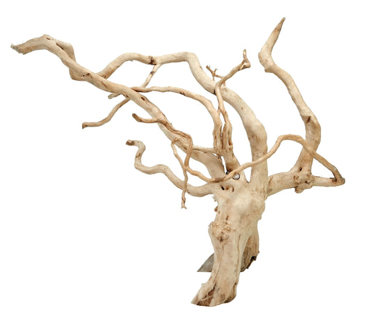 HS Aqua Spiderwood S - juuripuu