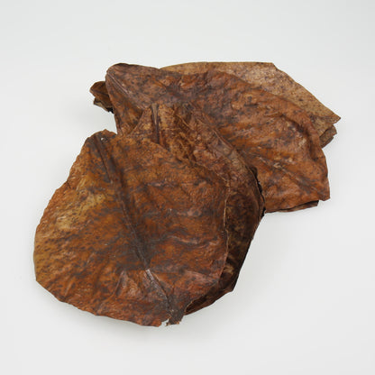 JBL Catappa XL intianmantelipuun lehdet 24cm