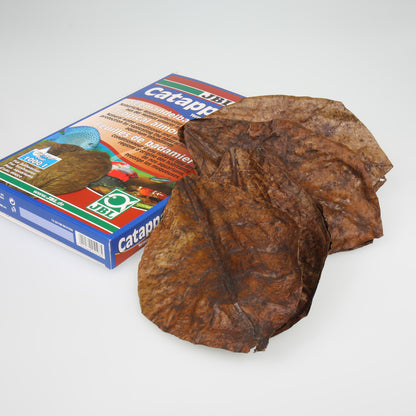 JBL Catappa XL intianmantelipuun lehdet 24cm