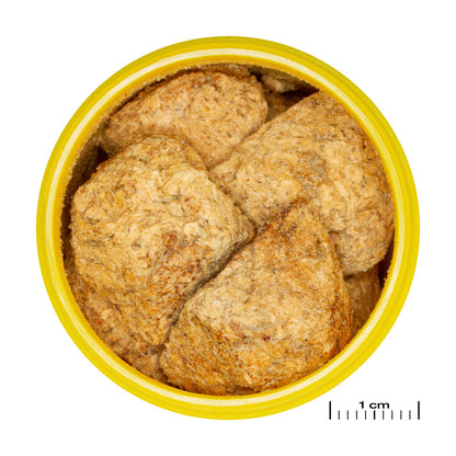 JBL PRONOVO Artemio 100ml artemia-kuutio