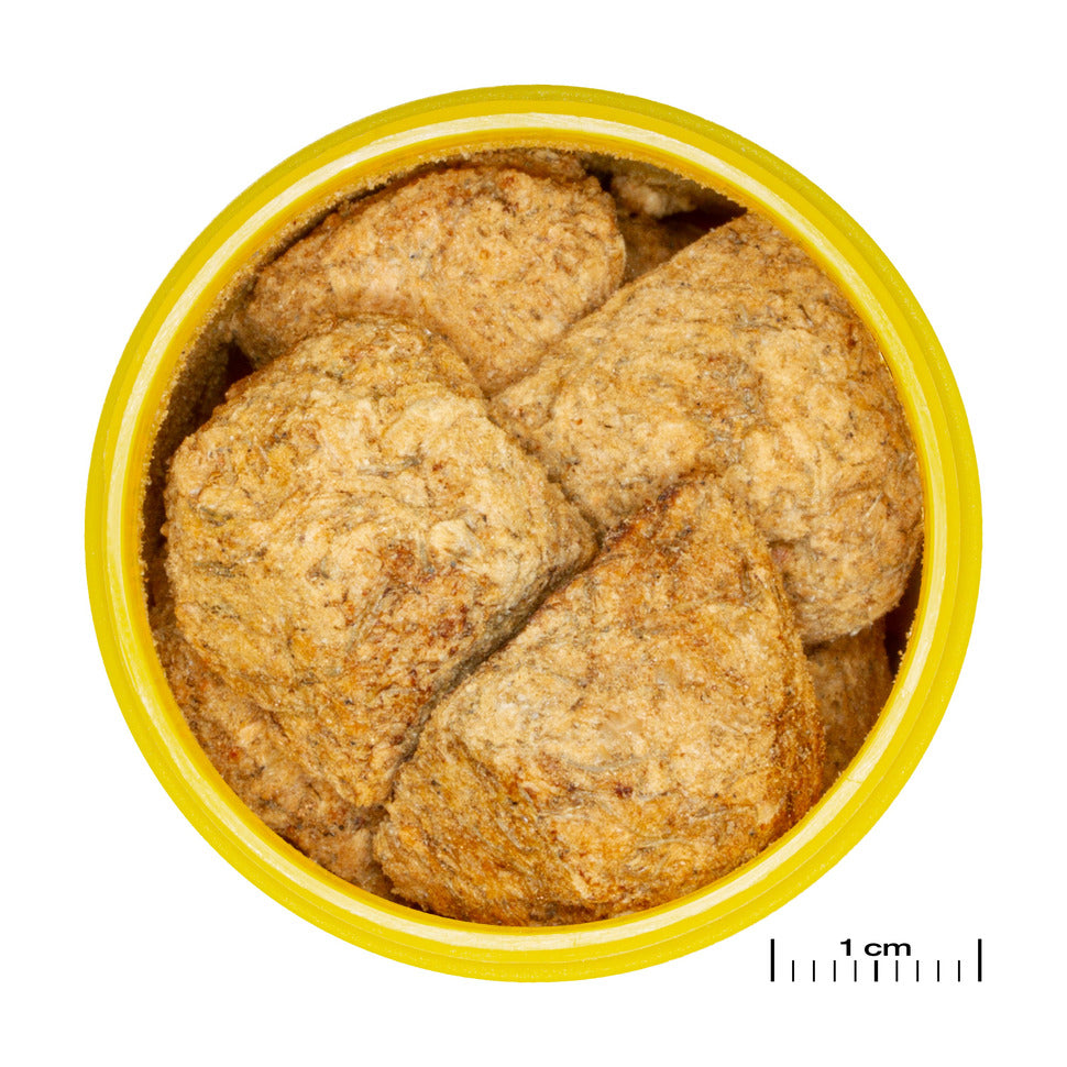 JBL ProNovo Artemio 250ml artemia-kuutio