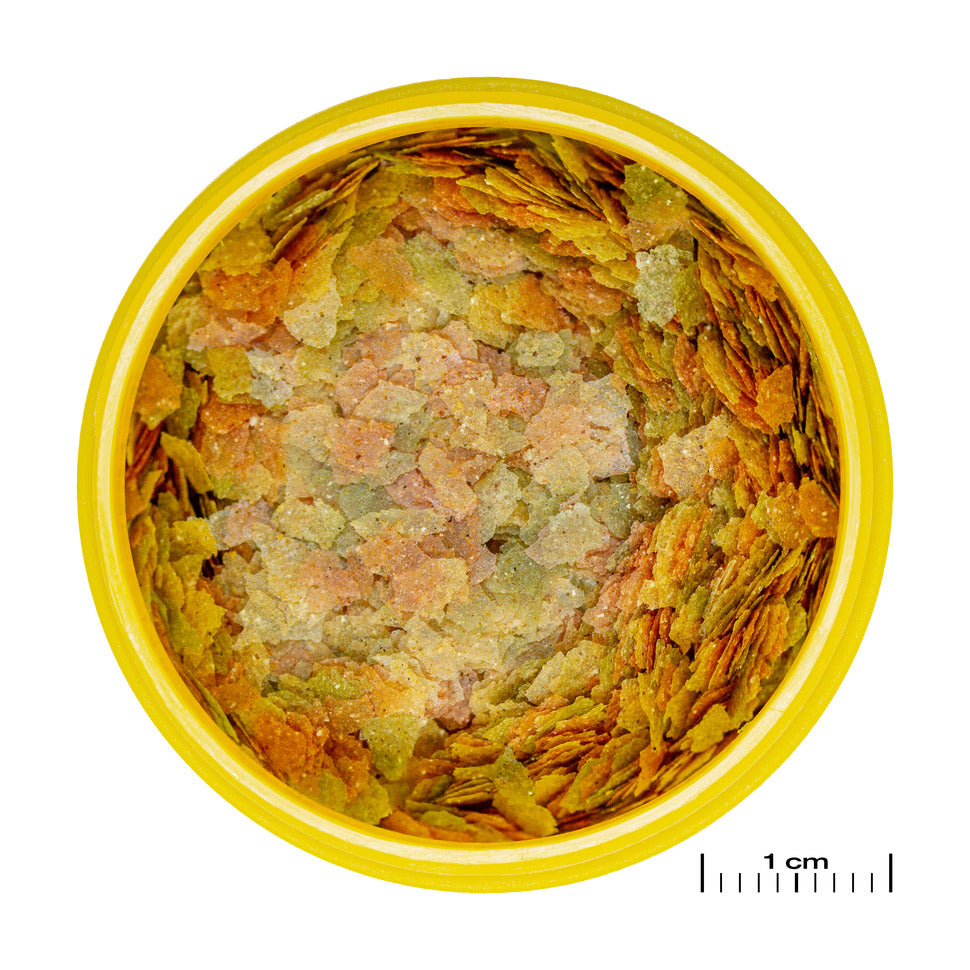 JBL PRONOVO BETTA 100ml taistelukalojen pääravinto