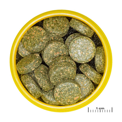 JBL ProNovo Botia 1L kasvispitoinen tabletti