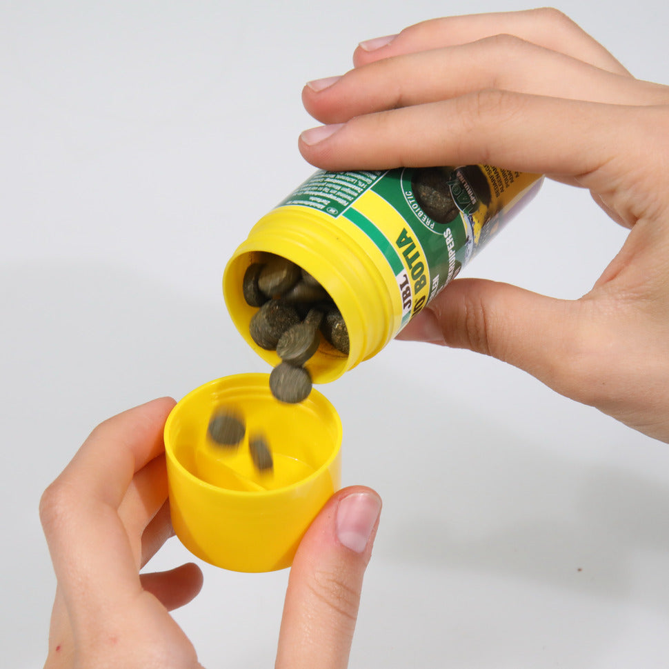 JBL ProNovo Botia 1L kasvispitoinen tabletti