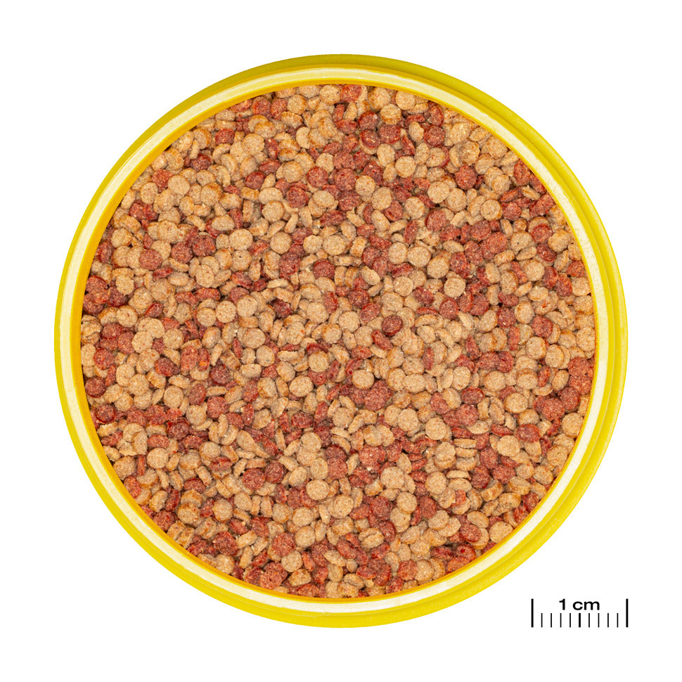 JBL Pronovo Color Grano M 250ml click