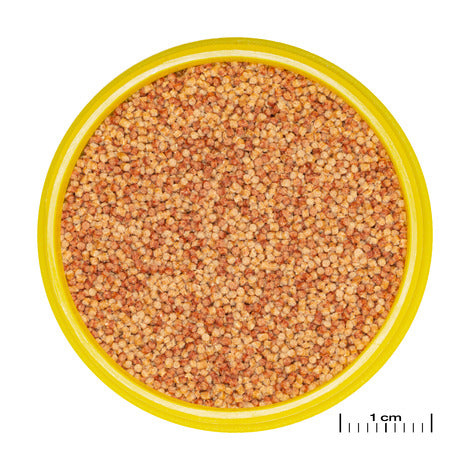 JBL Pronovo Color Grano S 100ml click