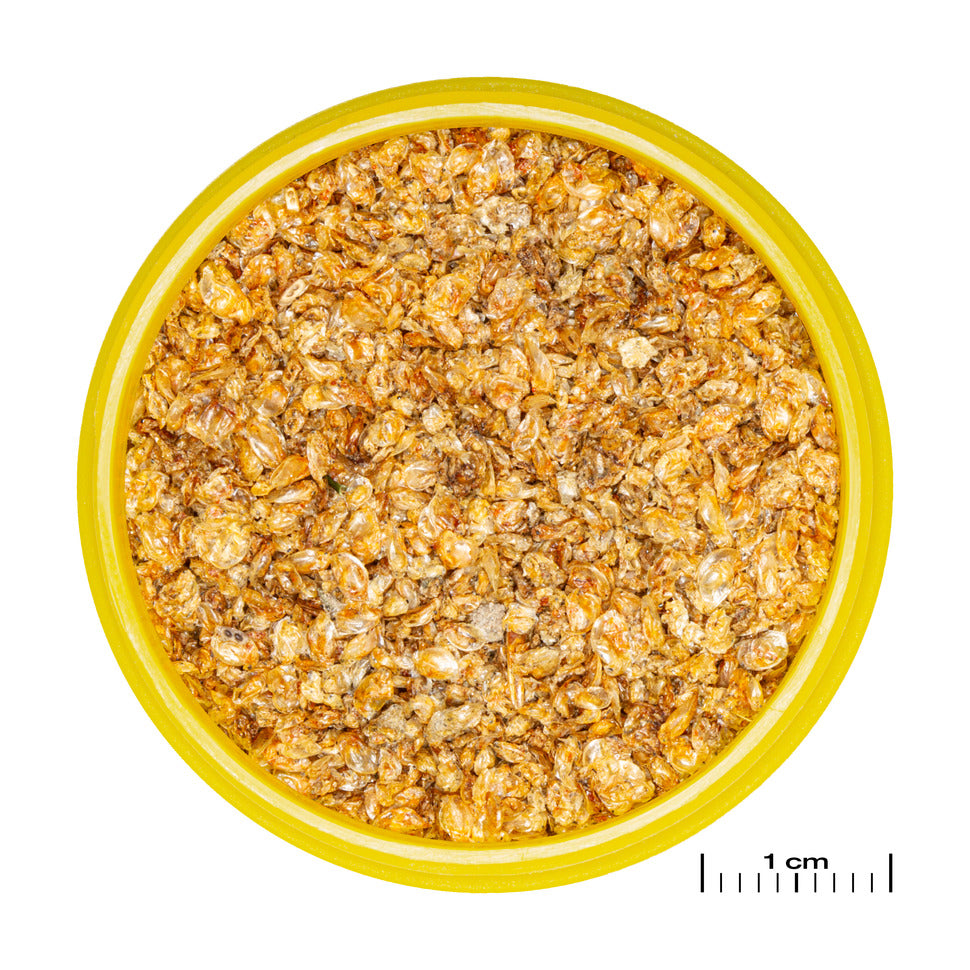 JBL ProNovo Daph 100ml aurinkokuivattuja