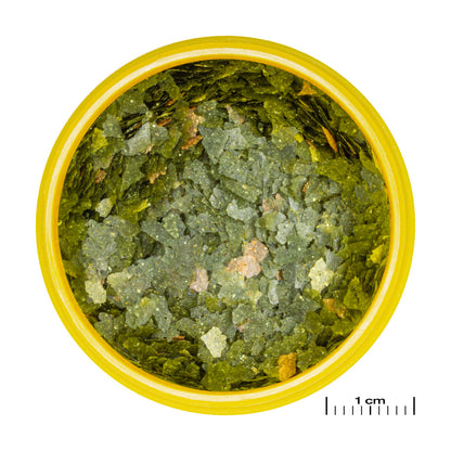 JBL ProNovo Guppy 250ml miljoonakalan ruoka