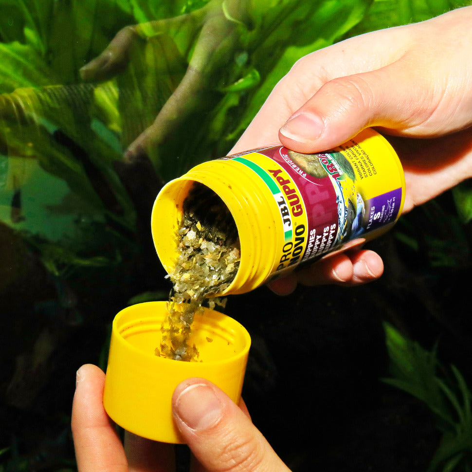 JBL ProNovo Guppy 250ml miljoonakalan ruoka