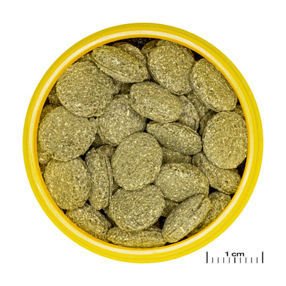 JBL ProNovo Pleco Wafer 100ml kuitupitoinen