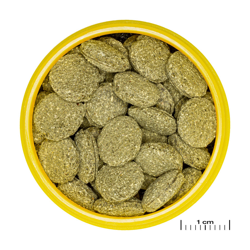 JBL ProNovo Pleco Wafer 250ml kuitupitoinen