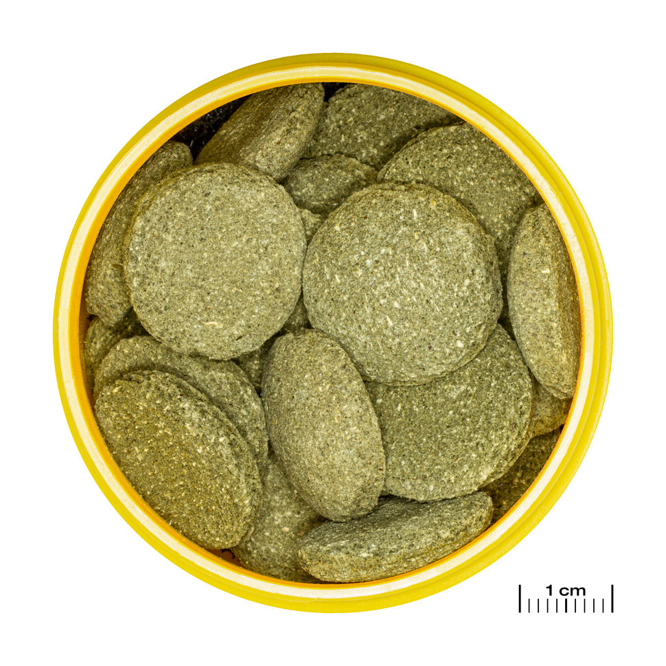 JBL ProNovo Pleco Wafer XL 250ml kuitupitoinen