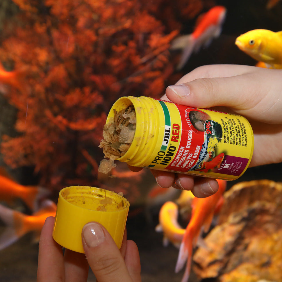 JBL PRONOVO Red 250ml kultakalojen hiutale