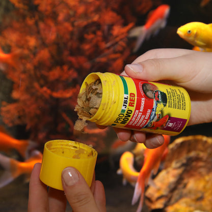 JBL PRONOVO Red 250ml kultakalojen hiutale