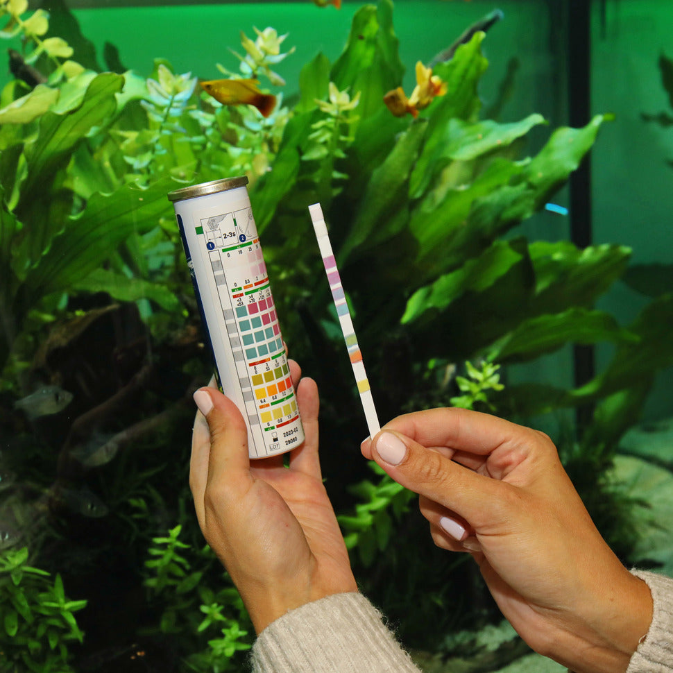 JBL PROAQUATEST EASY 7in1 liuskatesti