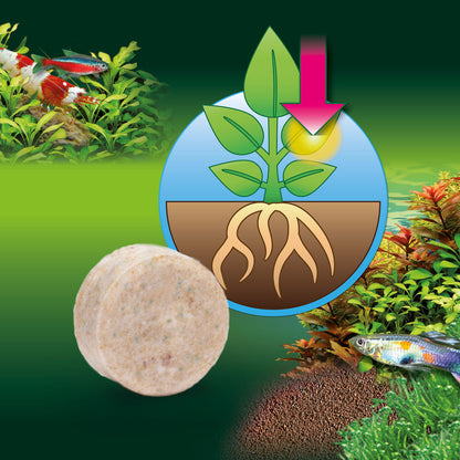 JBL PROFLORA Ferropol Tabs 30tabl. veteen