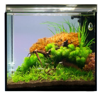 Easy-Life NANO Plant 25ml