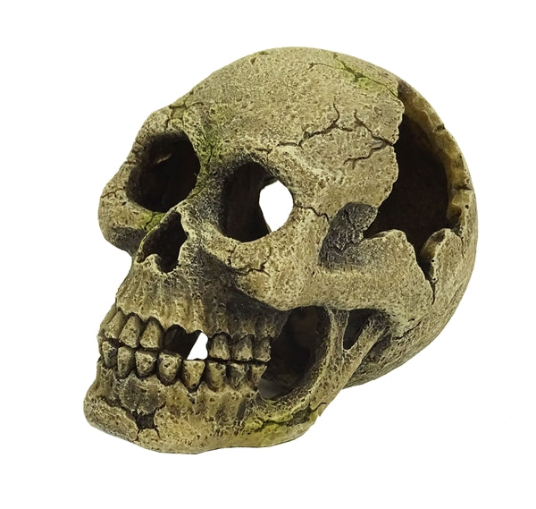 Koriste pääkallo 9cm