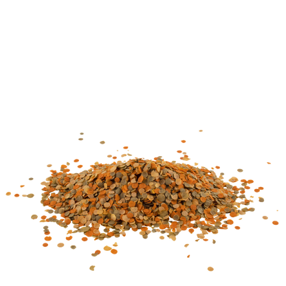 TetraMin Crisps 100ml