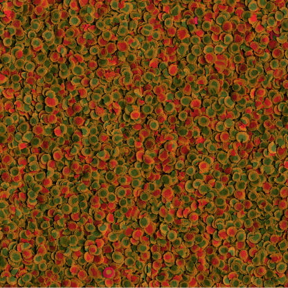 TetraPro Energy 250 ml muro pääruoka