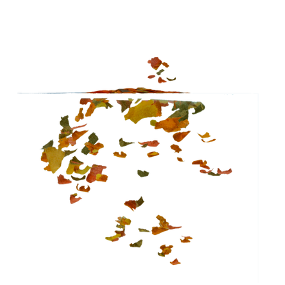 TetraRubin 1 L hiutale väriruoka